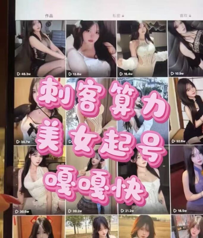 刺客算力美女二创软件(送手法特效）-weichuangqy