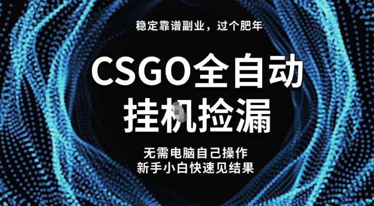 【稳定副业】全球最热门游戏CSGO全自动捡漏，最新玩法，新手小白日入5张+【揭秘】-weichuangqy