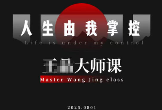 流量破局-人生由我掌控，从素人快速进阶，实现流量与商业价值双丰收-weichuangqy