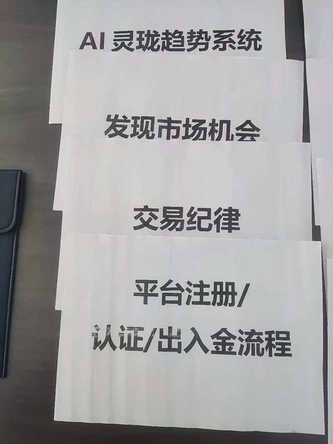 图片[3]-海外美金AI掘金项目，200U可入门槛，一天一单即可，每天1000-2000很轻松！-weichuangqy