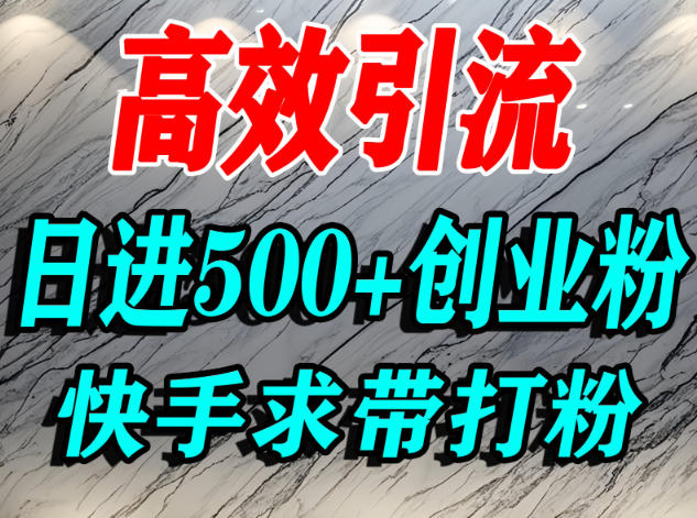 怎么打创业粉？快手求带视角精准引流创业粉，宝妈、学生群体日进500+精准流量-weichuangqy