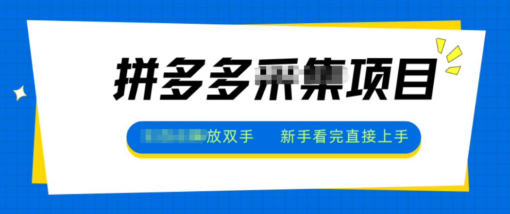 拼多多电商采集，一小时50+，操作简单，零投资-weichuangqy