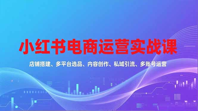 小红书电商运营实战课，店铺搭建、多平台选品、内容创作、私域引流、多账号运营等玩法-weichuangqy