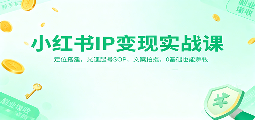 小红书IP变现实战课：定位搭建，光速起号SOP，文案拍摄，0基础也能赚钱-weichuangqy