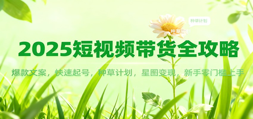 2025短视频带货全攻略：爆款文案，快速起号，种草计划，星图变现，新手零门槛上手-weichuangqy