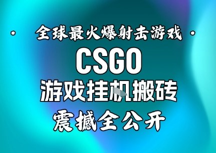 【年底大揭秘】基于全球最火爆的射击CSGO游戏挂G搬砖，日入5张+，震撼公开-weichuangqy