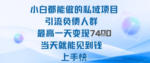 2025年小白都能做的私域项目引流负债人群最高一天变现1k+高变现难度低当天就能见到钱上手快-weichuangqy