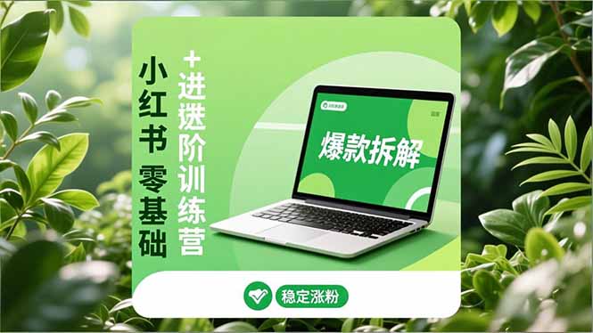 小红书零基础+高阶训练营：安全养号、爆款拆解、长效运营，实现稳定涨粉与变现-weichuangqy