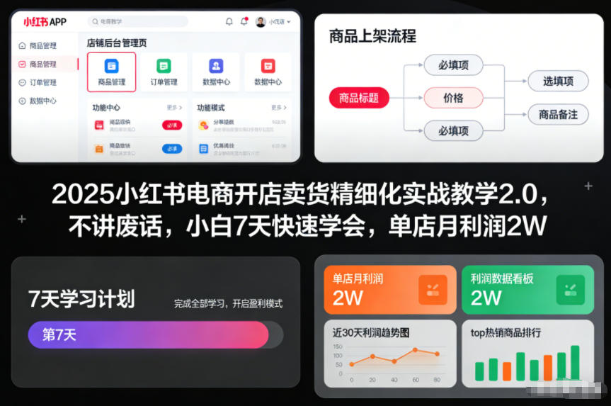 2025小红书电商开店卖货精细化实战教学2.0，不讲废话，小白7天快速学会，单店月利润2W-weichuangqy