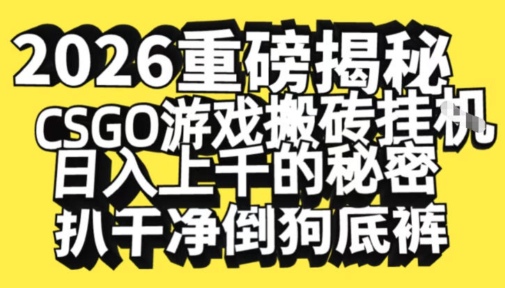 2026开年重磅解密，CSGO游戏搬砖挂G日入1k+的秘密，把倒狗的底裤扒干【揭秘】-weichuangqy