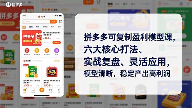 拼多多可复制盈利模型课，六大核心打法、实战复盘、灵活应用，模型清晰，稳定产出高利润-weichuangqy