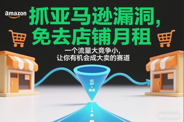 抓亚马逊漏洞，免去店铺月租，一个流量大竞争小，让你有机会成大卖的赛道-weichuangqy