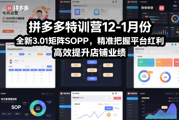 拼多多特训营12-1月份，全新3.01矩阵Sop，精准把握平台红利，高效提升店铺业绩-weichuangqy