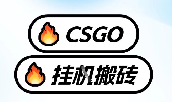 真全网独家CSGO挂G，最新玩法,单日捡漏1K+，不用电脑，不用打游戏【揭秘】-weichuangqy