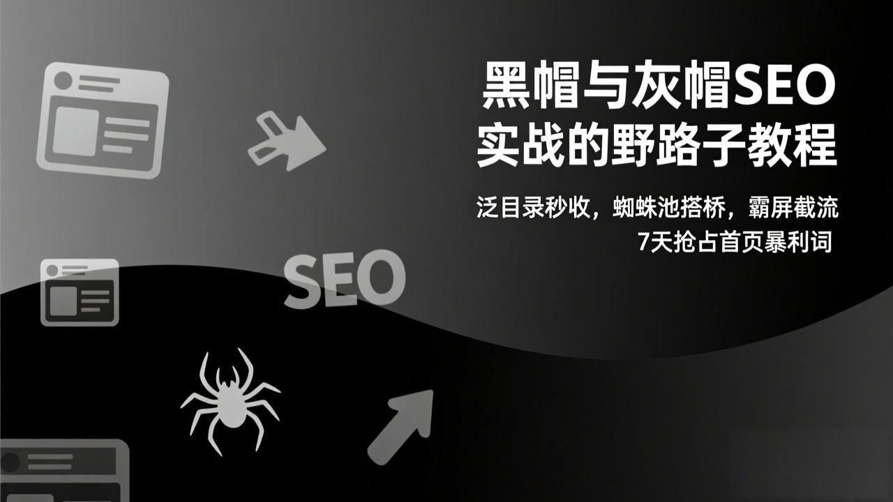 黑帽与灰帽SEO实战的野路子教程：泛目录秒收，蜘蛛池搭桥，霸屏截流，7天抢占首页暴利词-weichuangqy