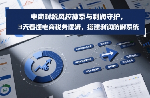 电商财税风控体系与利润守护，3天看懂电商税务逻辑，搭建利润防御系统-weichuangqy