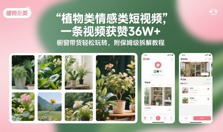 植物类情感类短视频，一条视频获赞36W+，橱窗带货轻松玩转，附保姆级拆解教程-weichuangqy