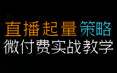 半野老师·直播带货起量与微付费必学课视频号(更新2026)-weichuangqy