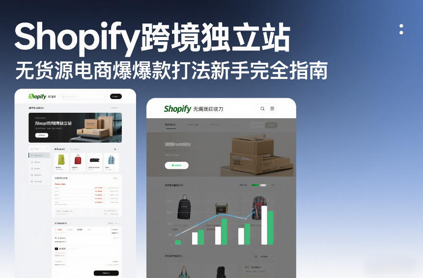 Shopify跨境独立站无货源电商爆款打法新手完全指南-weichuangqy