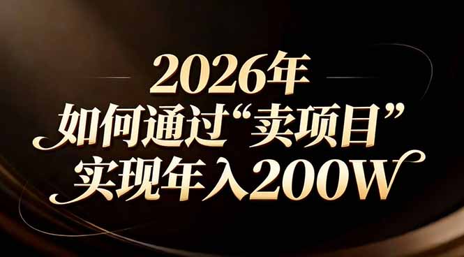 站在2026年的十字路口：一个普通人如何通过卖项目实现年入200万-weichuangqy