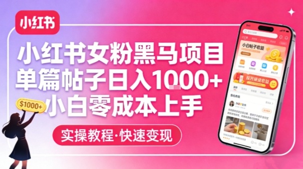 小红书女粉黑马项目，单篇帖子日入1k+，小白零成本上手-weichuangqy