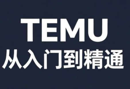 跨境麦冬·TEMU从入门到精通-weichuangqy