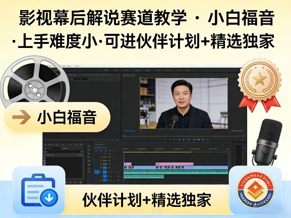 某大佬的影视幕后解说赛道教学，小白福音，上手难度小，可进伙伴计划+精选独家-weichuangqy