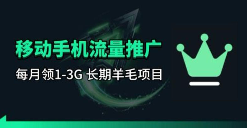 手机流量领取推广_每月一轮，刚需类的长期项目-weichuangqy