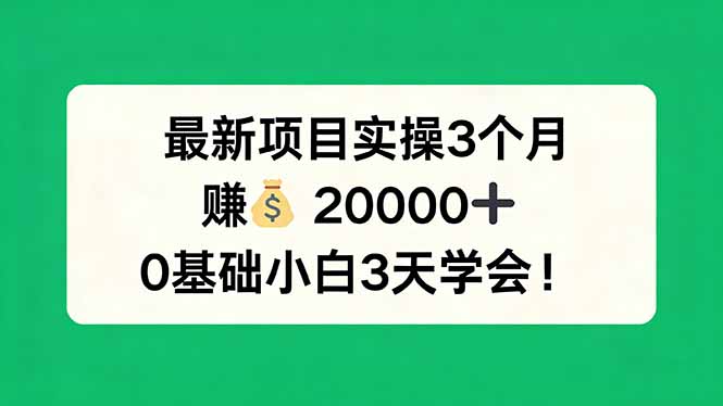 最新项目实操3个月，赚钱20000+，0基础小白3天学会！-weichuangqy