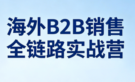 雨哥·海外B2B销售全链路实战营-weichuangqy