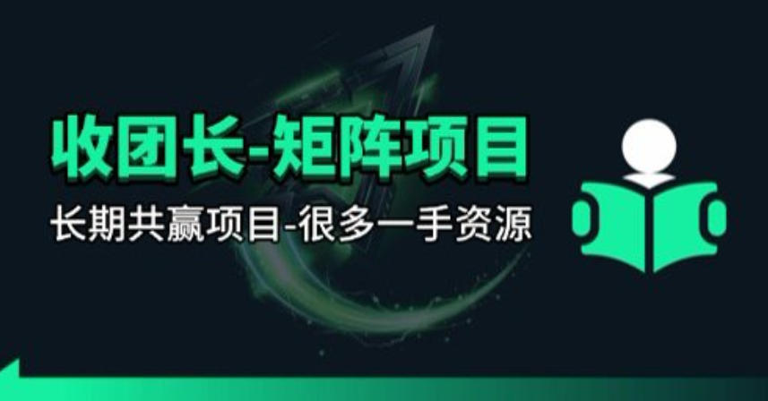 【团长合作】视频矩阵项目_招发手矩阵+剪辑师，共赢项目【揭秘】-weichuangqy