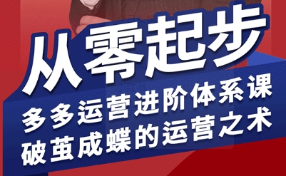 拼多多运营进阶系统课，从零起步，多多运营进阶体系课，破茧成蝶的运营之术(更新26年4月)-weichuangqy