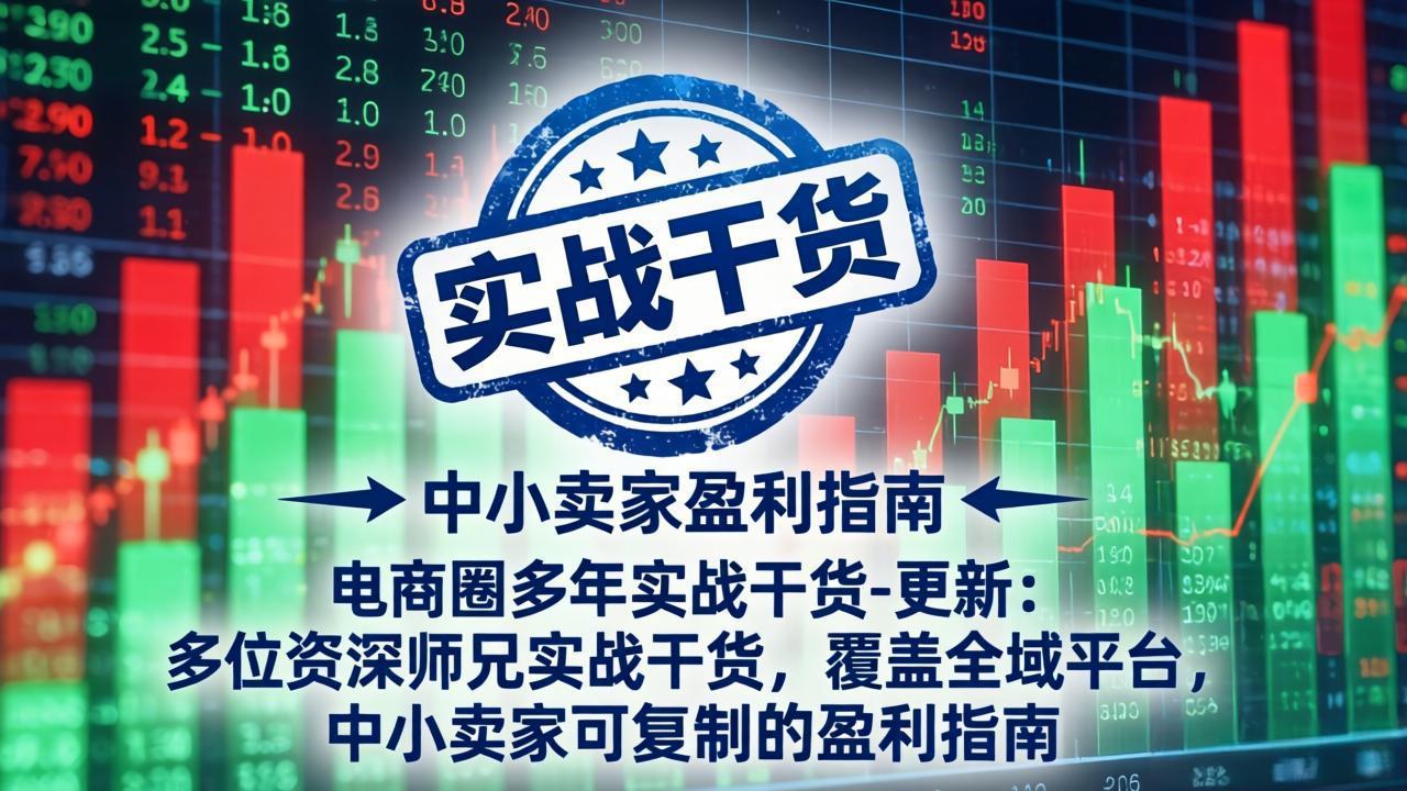 电商圈多年实战干货-更新5月10：多位资深师兄实战干货/覆盖全域平台，中小卖家可复制的盈利指南-weichuangqy