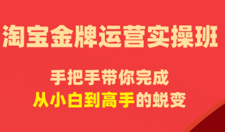 飓风电商·淘宝金牌运营实操班-weichuangqy