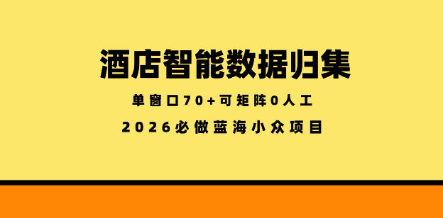 酒店智能数据归集，小众蓝海已经稳定半年之久，单窗口70+零成本矩阵开干【揭秘】-weichuangqy