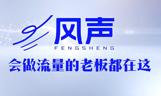 董十一·风声短视频AI获客年度会员-weichuangqy