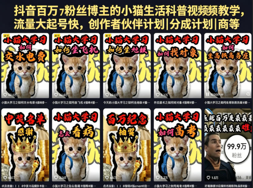抖音百万粉丝博主的小猫生活科普视频教学，流量大起号快，创作者伙伴计划|分成计划|商单|收徒等-weichuangqy