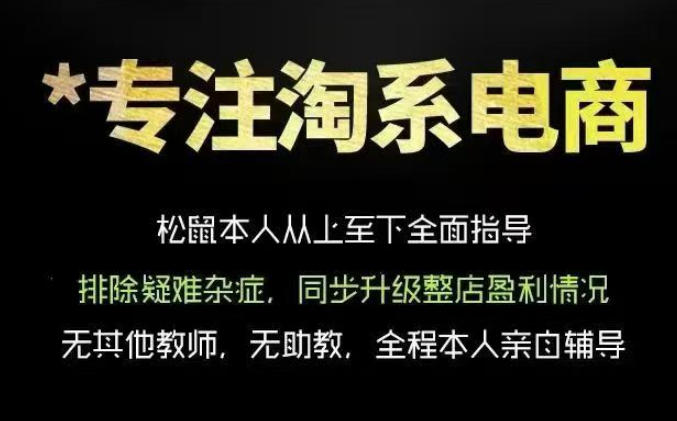 松鼠会电商VIP课程，从基础布局到高阶优化，助你掌握淘宝运营逻辑，提升店铺流量与转化(更新0815)-weichuangqy