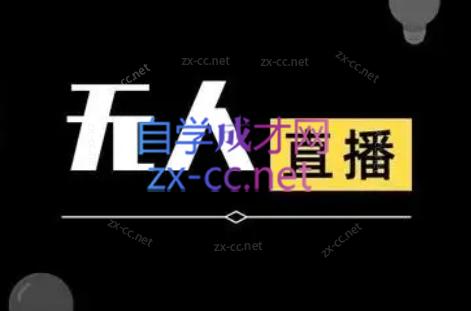 宝子哥·无人直播-非实时防风技术(更新8月)-weichuangqy