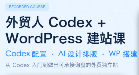 大卫·外贸人Codex + WordPress建站课(更新8月)-weichuangqy