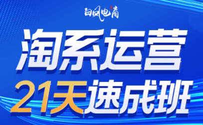 白凤电商·淘系运营21天速成班(更新8月)-weichuangqy
