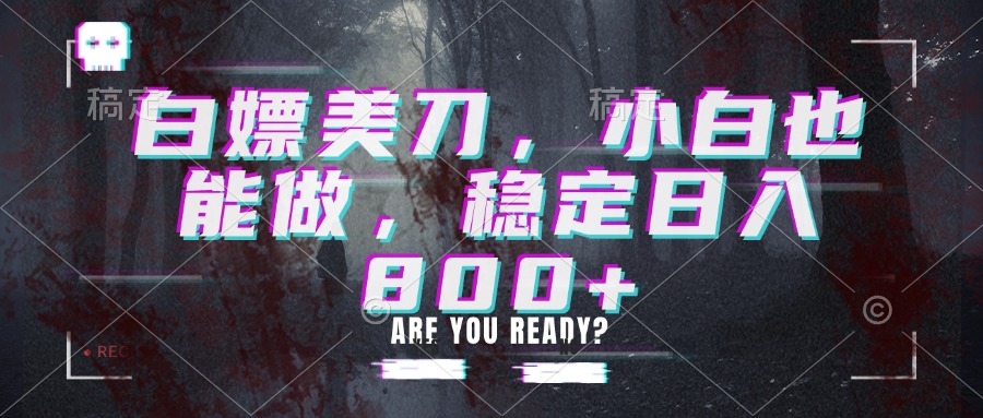 白嫖美刀，小白也能做，稳定日入800+-weichuangqy