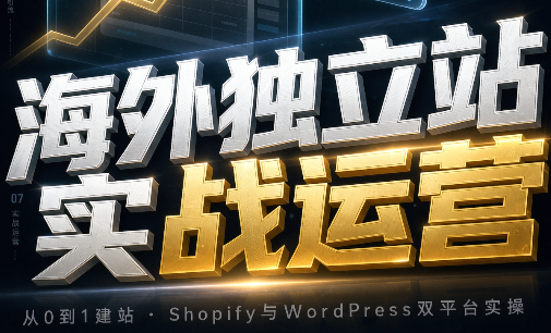 海外独立站实战运营-weichuangqy