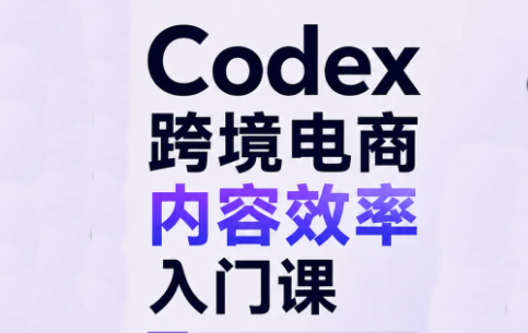 Codex跨境电商内容效率入门课-weichuangqy