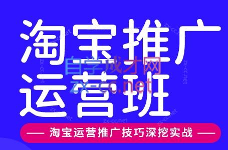 美迪电商·淘宝高级运营班+推广运营班(更新9月)-weichuangqy