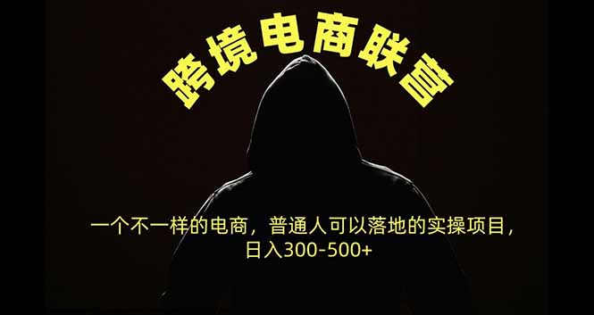 跨境电商联营，一个不一样的电商，普通人可操作日入300-500+-weichuangqy